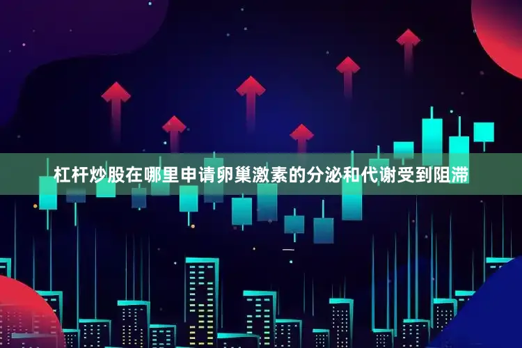 杠杆炒股在哪里申请卵巢激素的分泌和代谢受到阻滞