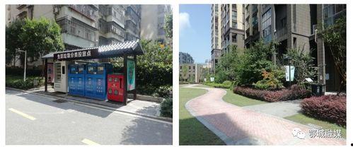 柳州小区爆料案件最新,真相即将揭晓！