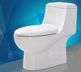 明星坐便器买什么好,打造奢华卫浴空间