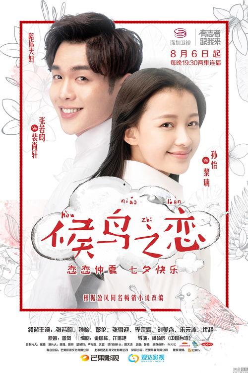 候鸟之恋在线免费观看,空中迁徙的浪漫传奇