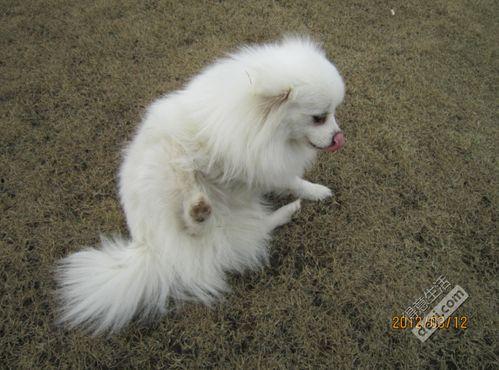 免费 无病毒 无码